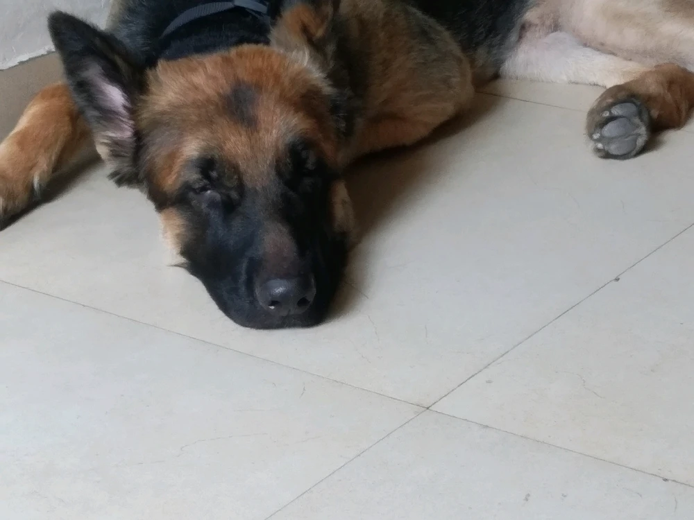 GIF uploaded by Sumett