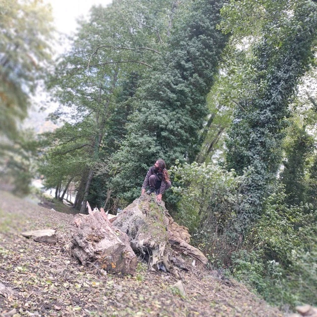 GIF uploaded by Spadaccino