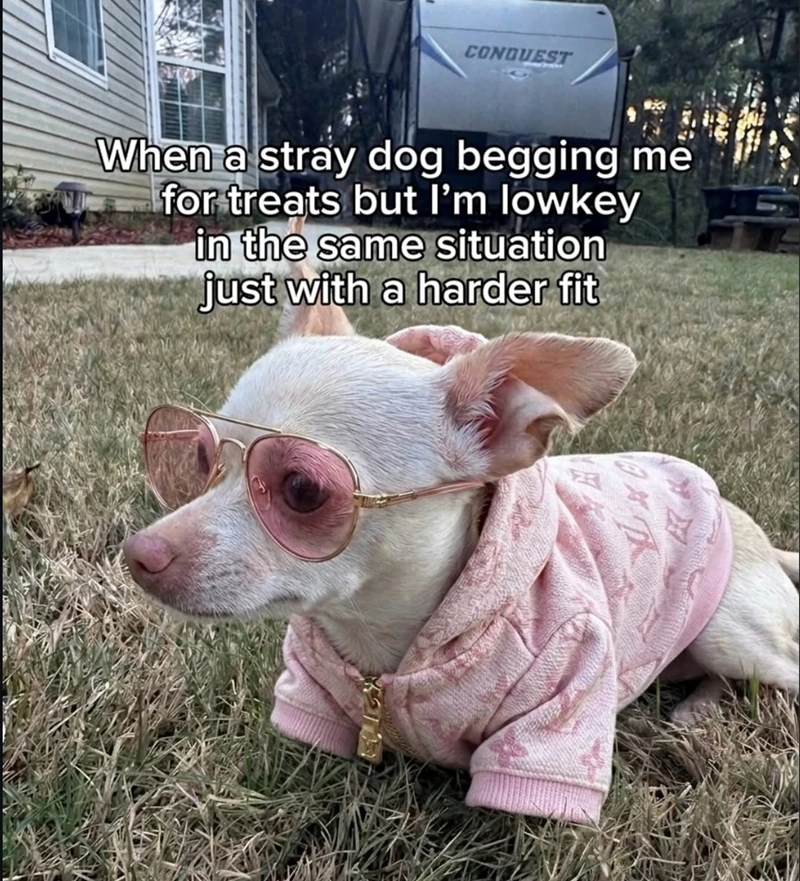 GIF uploaded by Alfredo