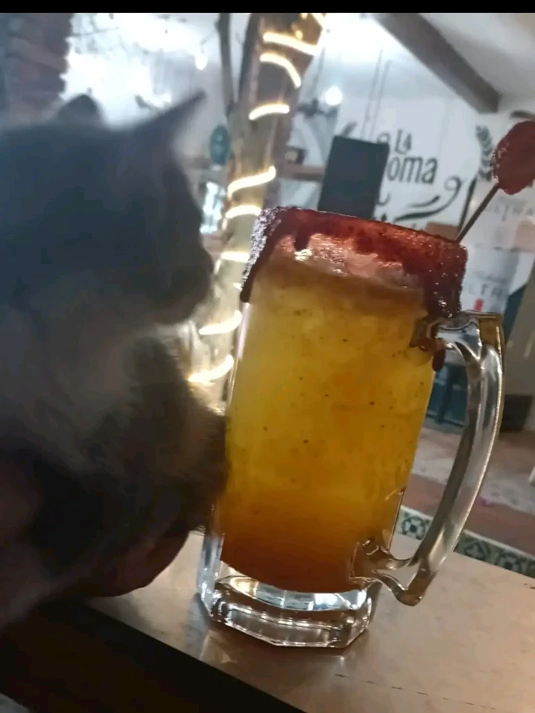 GIF uploaded by Brayan