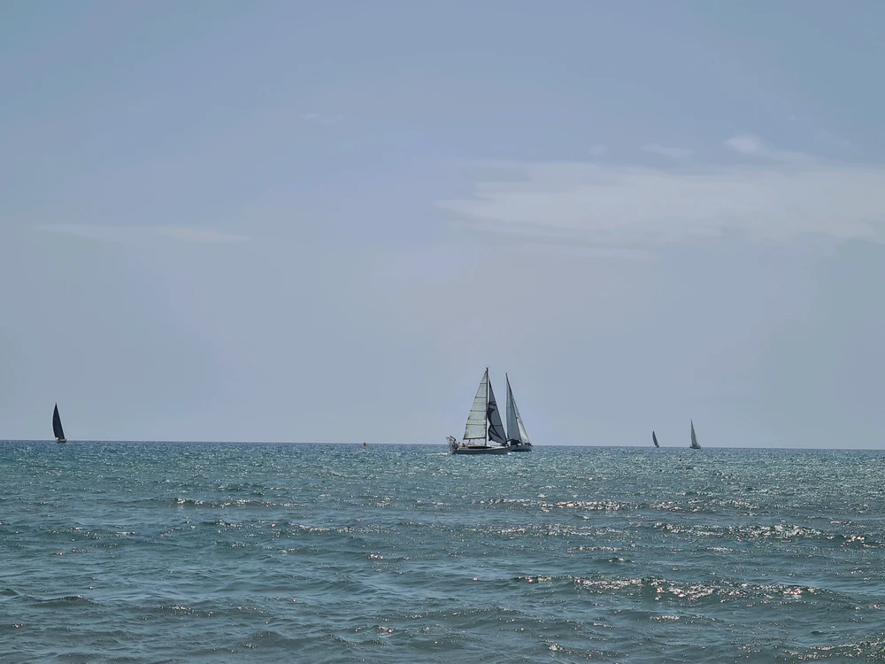 GIF uploaded by Gabrio aka Milord