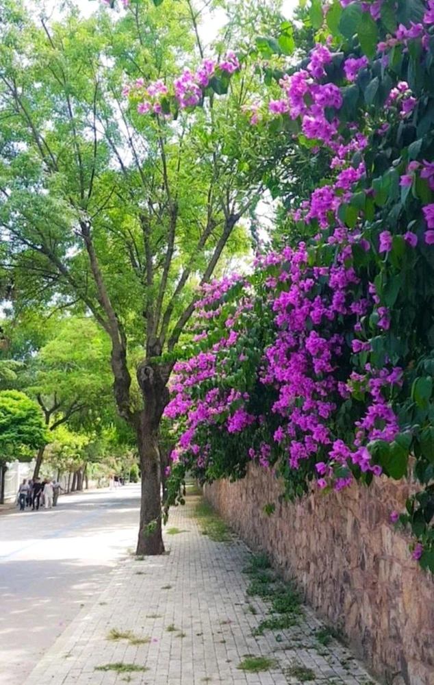 GIF uploaded by 𝑨𝒏𝒆𝒆𝒍..