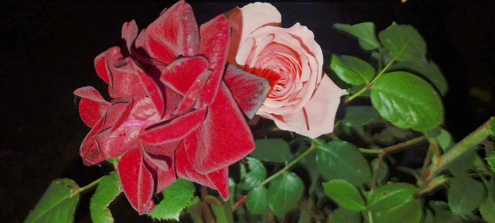 GIF uploaded by Kas