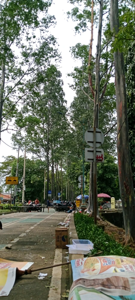 GIF uploaded by Mamang