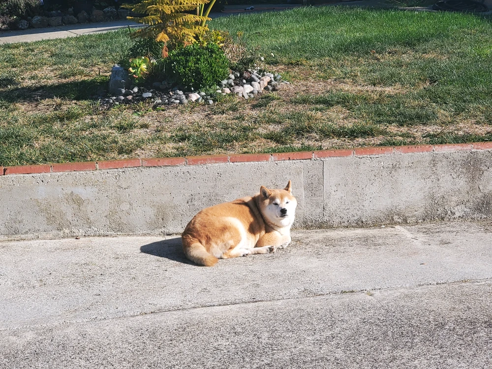 GIF uploaded by Sam