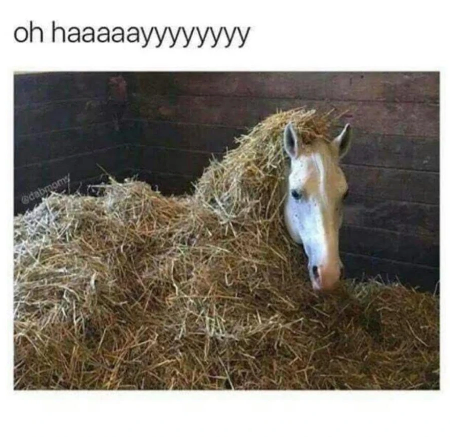 GIF uploaded by ℳ𝒾𝒹𝓃𝒾𝑔𝒽𝓉