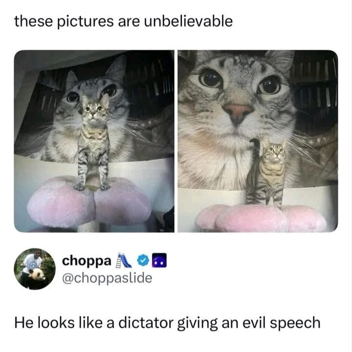 GIF uploaded by Blair