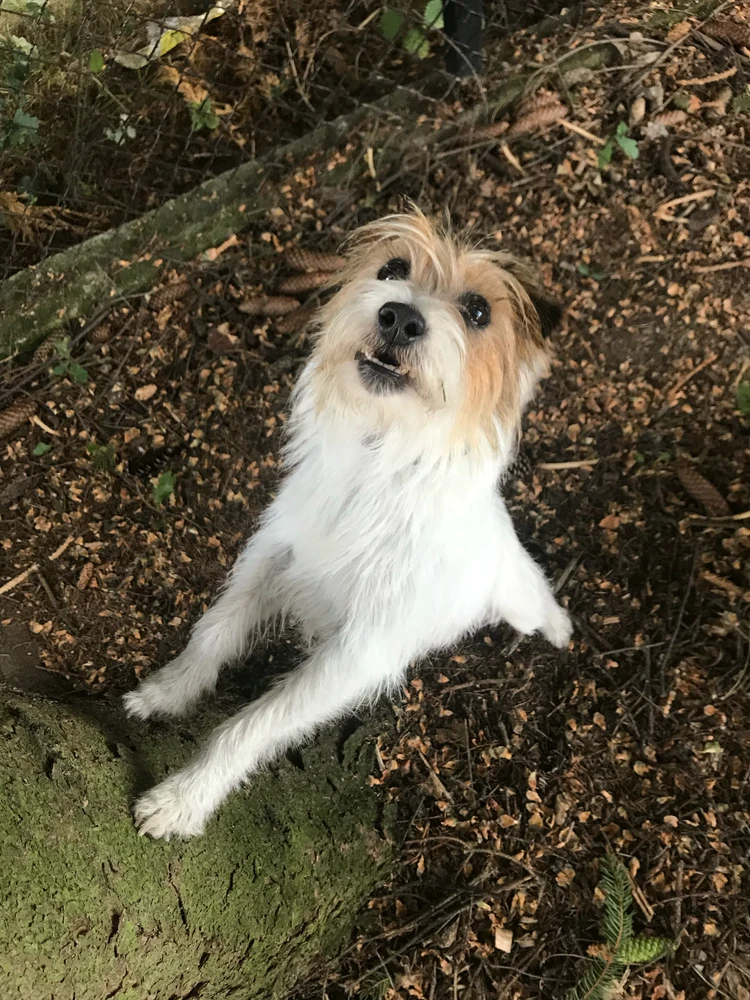 GIF uploaded by Maciek