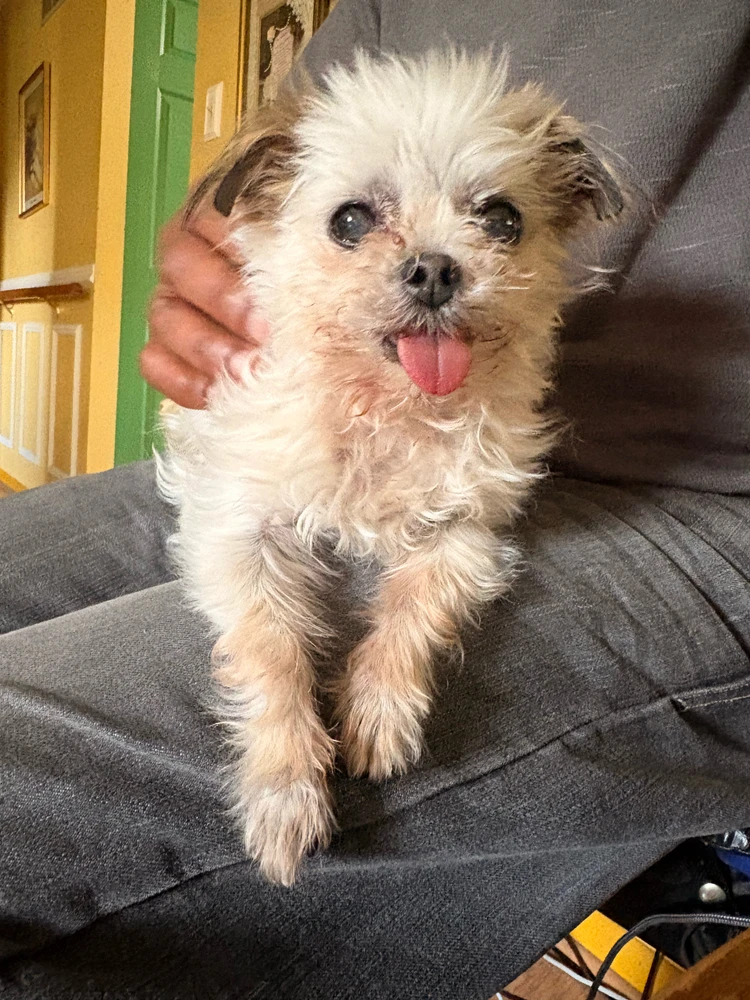 GIF uploaded by Danielle