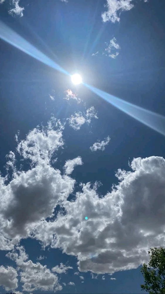GIF uploaded by Kan(โ โงโ โฝโ โฆโ )ใซใณใคใคใผ