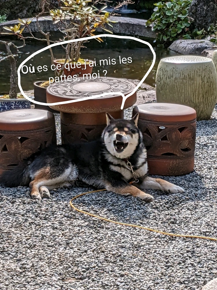 GIF ajouté par Tess