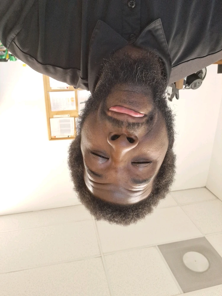 GIF uploaded by King