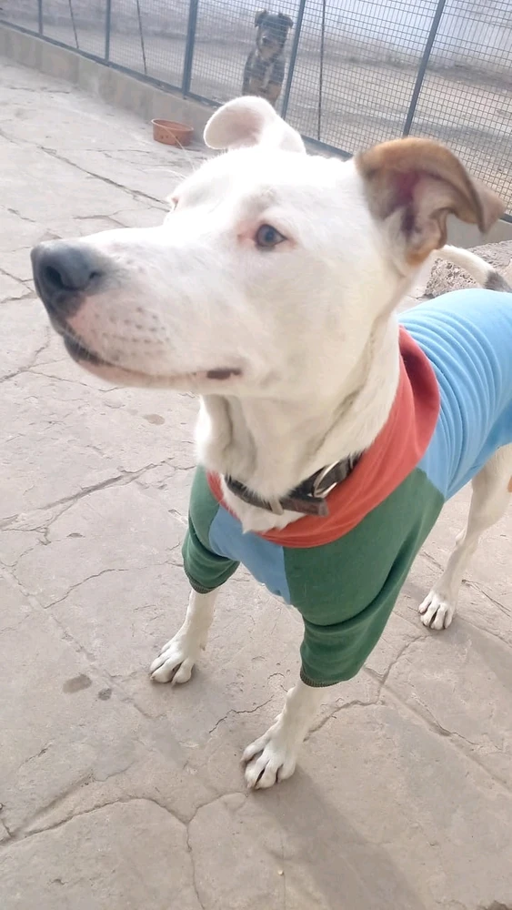 GIF uploaded by Javii