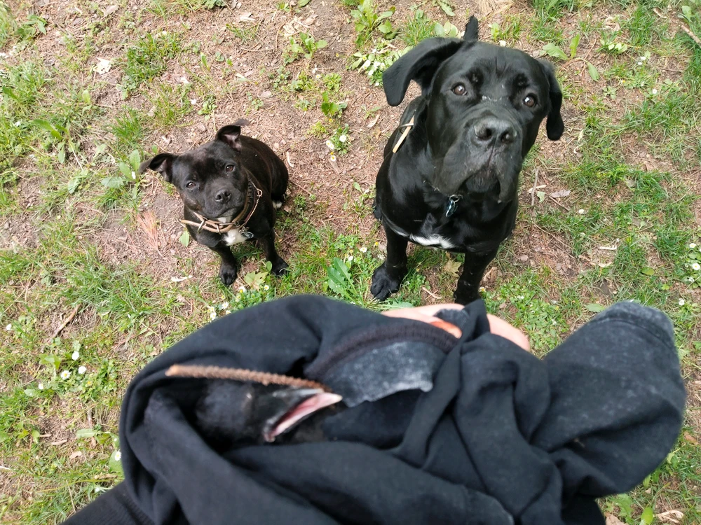 GIF uploaded by Maja