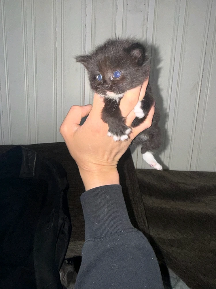 GIF uploaded by Kristina