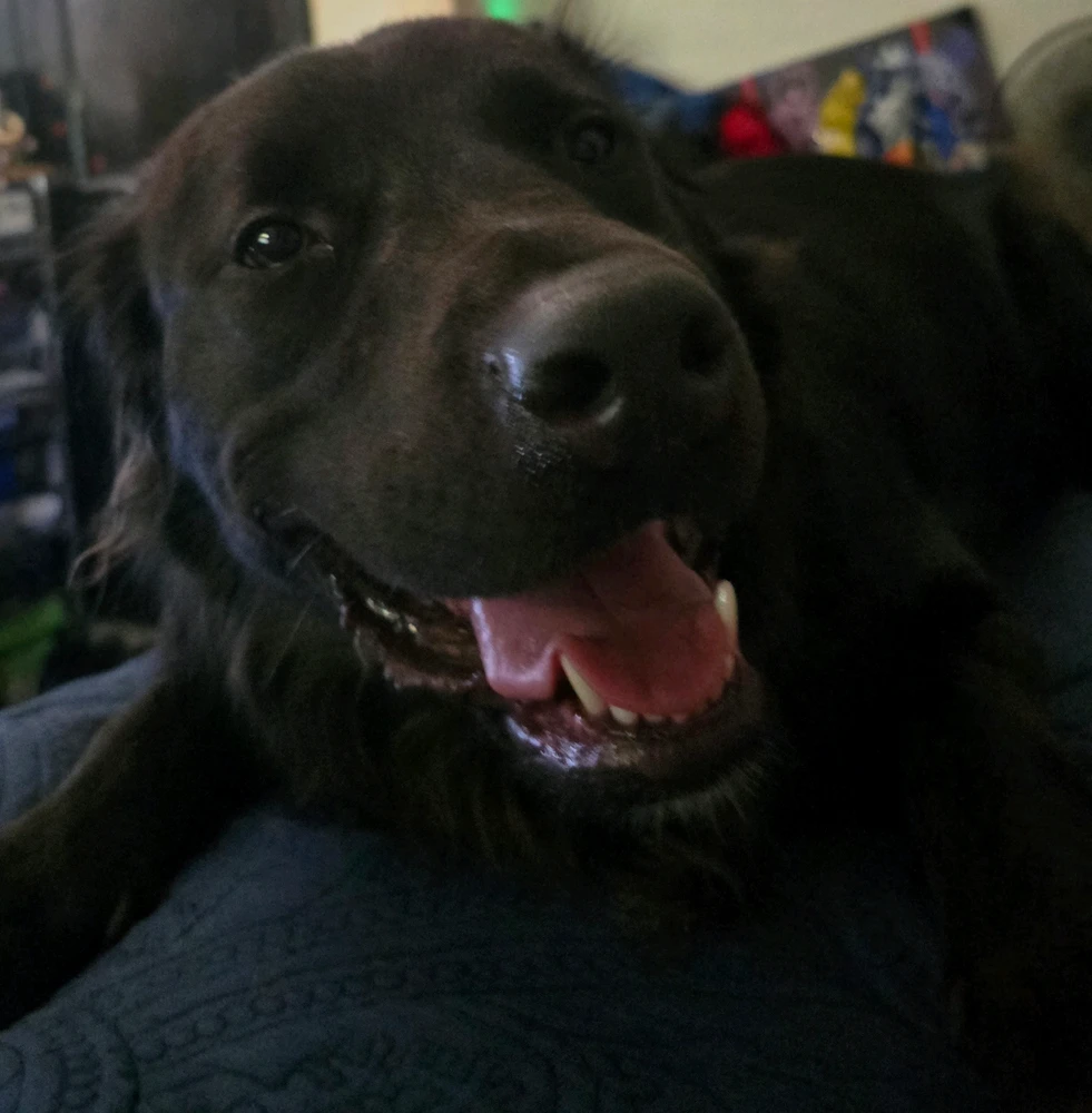 GIF uploaded by Tj