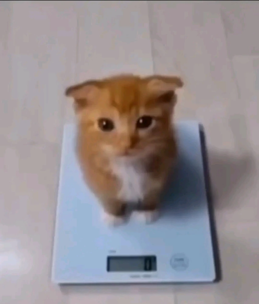 GIF uploaded by Maciej