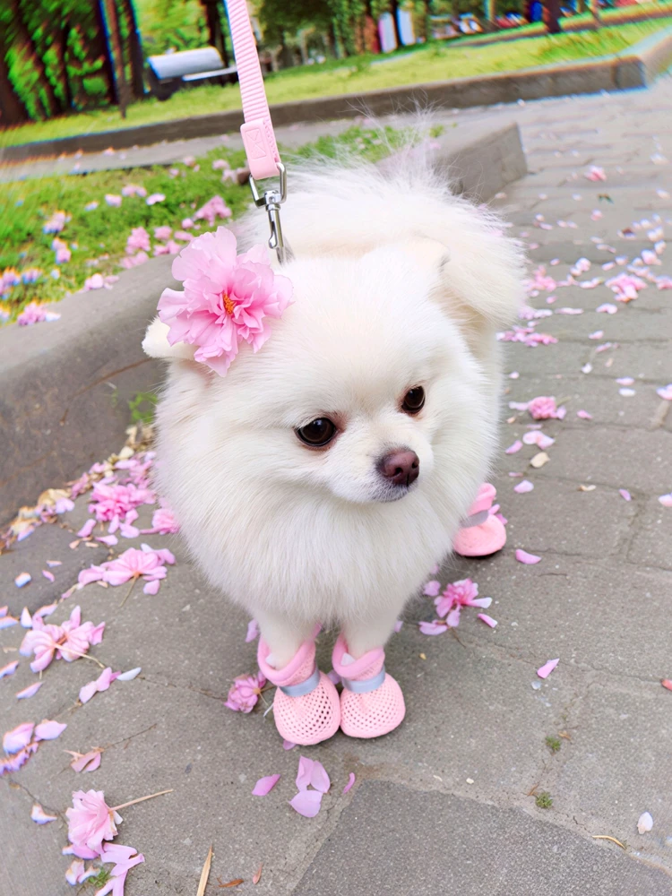 GIF uploaded by Svitlana