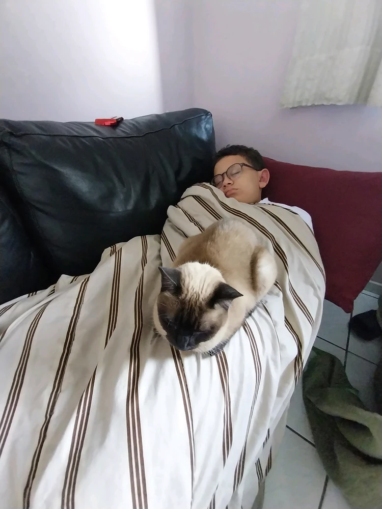 Imagem enviada por Mikhah