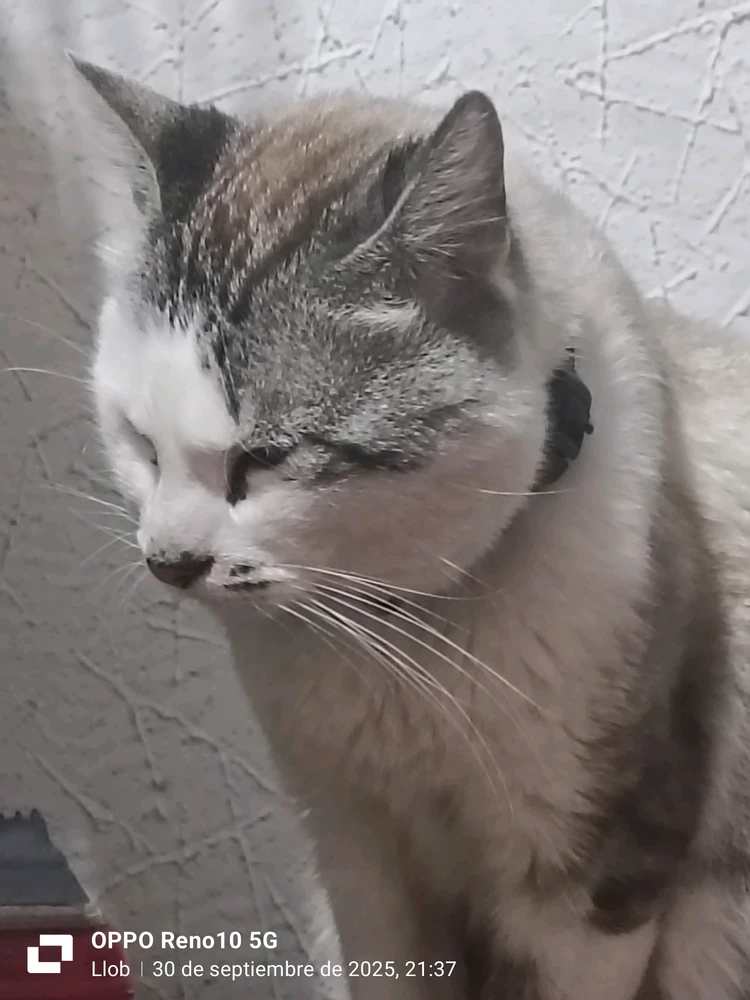 GIF subido por Patricio