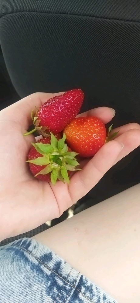 GIF uploaded by Таня