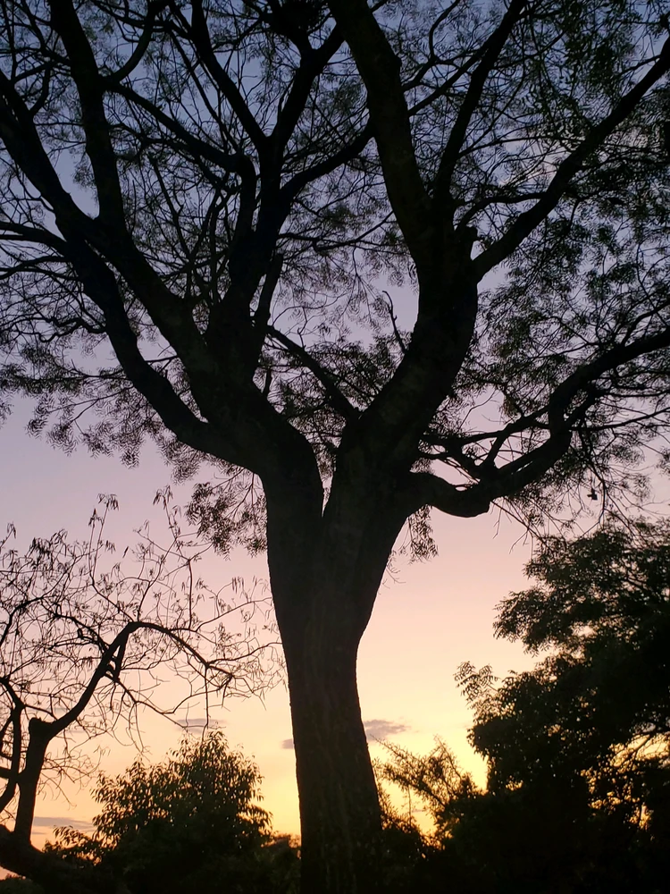Image uploaded by Fatima