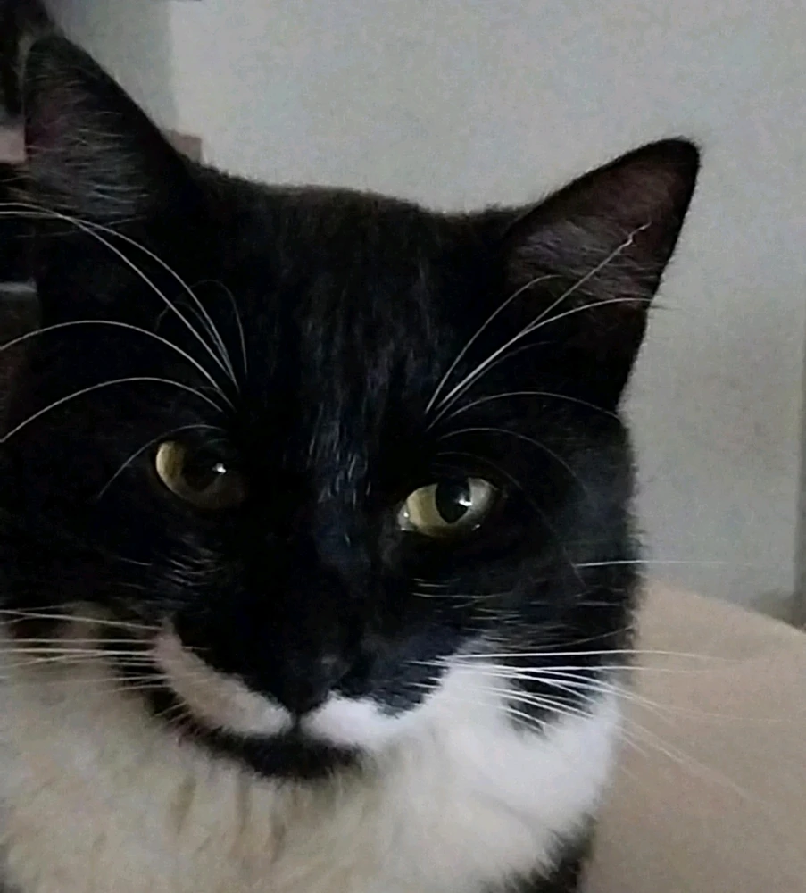 GIF uploaded by Gisele