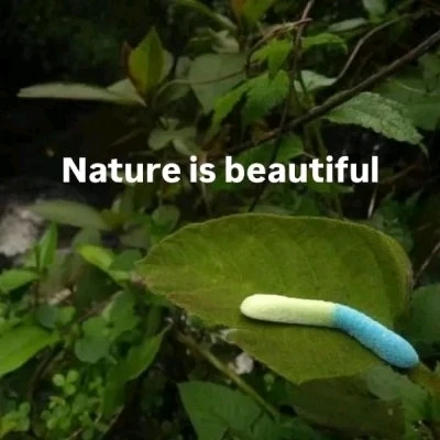 GIF uploaded by Dana