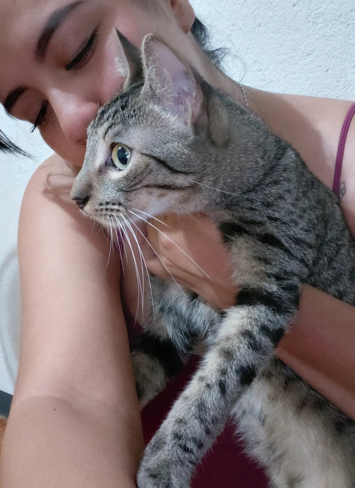 GIF subido por Gaby