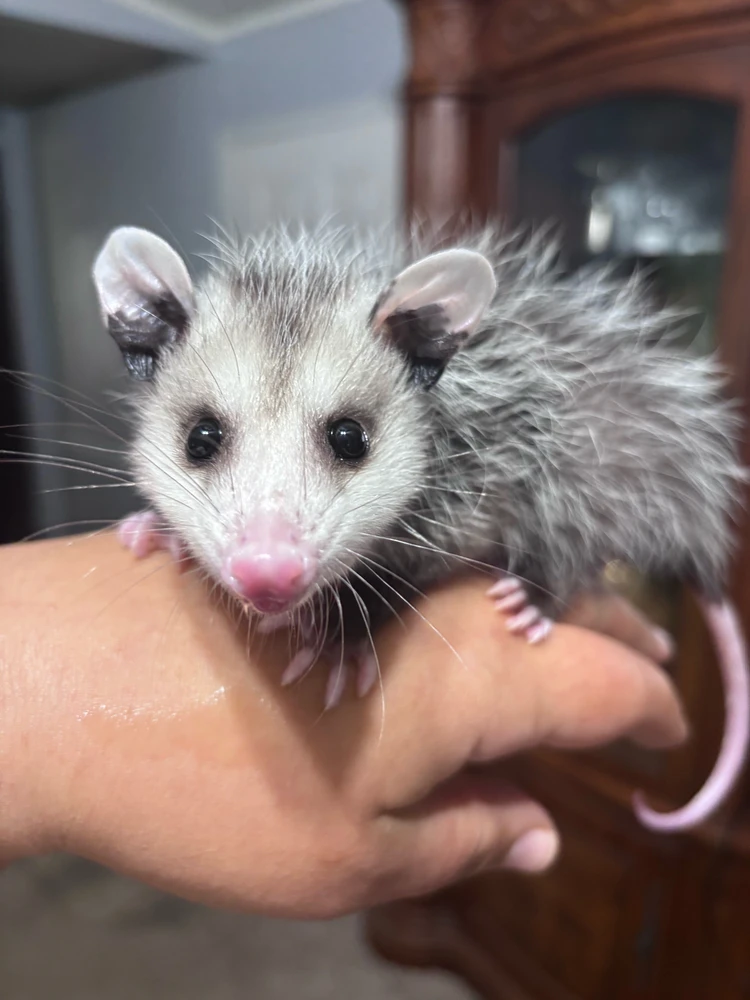 GIF uploaded by Lissette