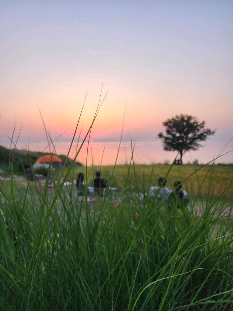 Image uploaded by Alien