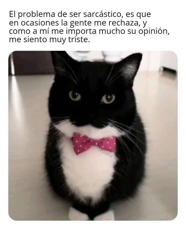 GIF uploaded by Oz