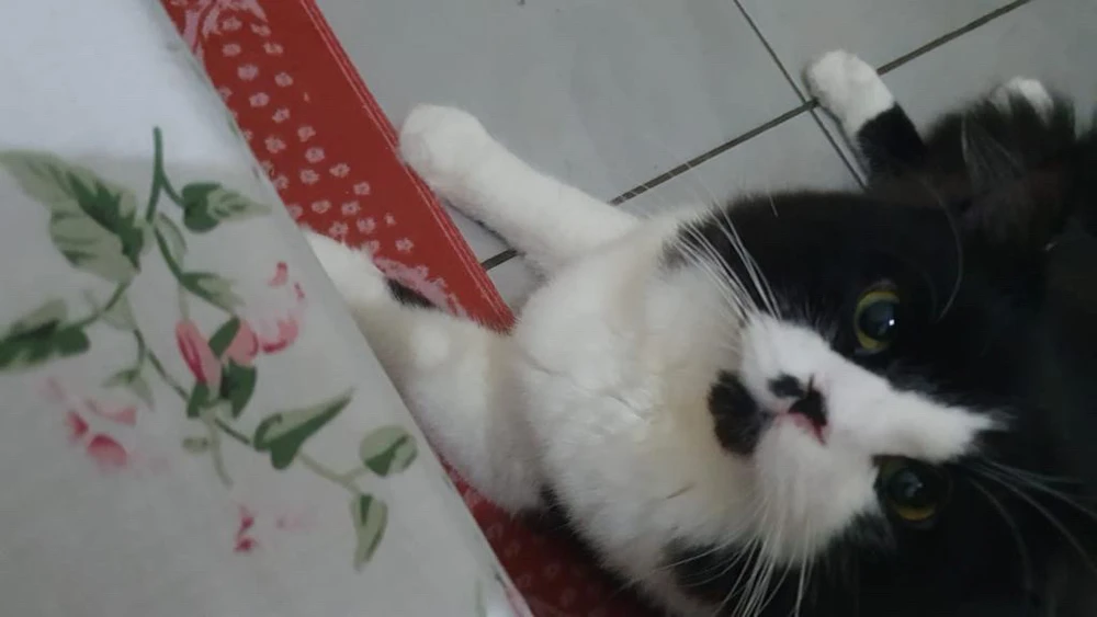 My beloved’s son