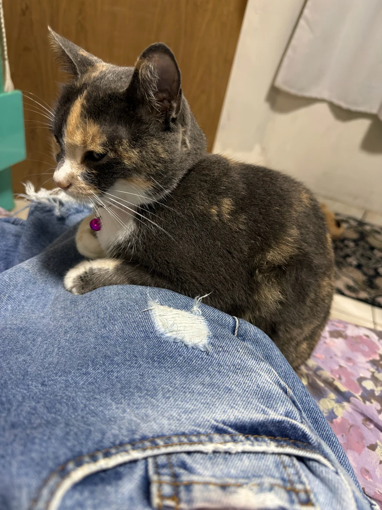 GIF uploaded by Jackeline