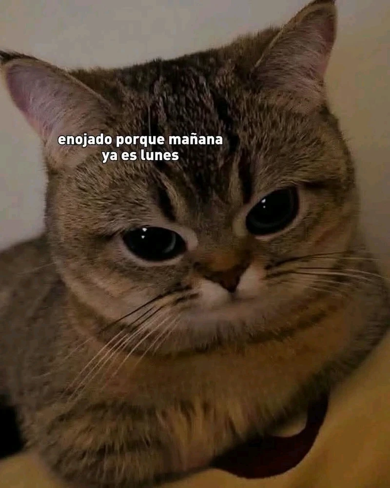 GIF subido por Lindida Godínez