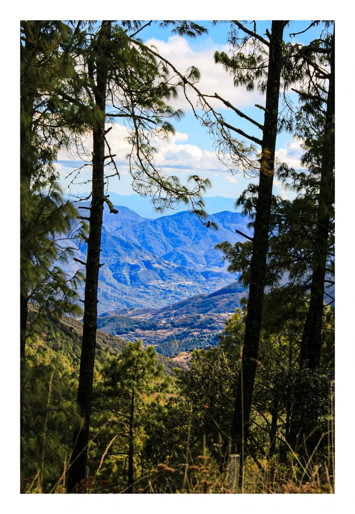GIF uploaded by Carlos