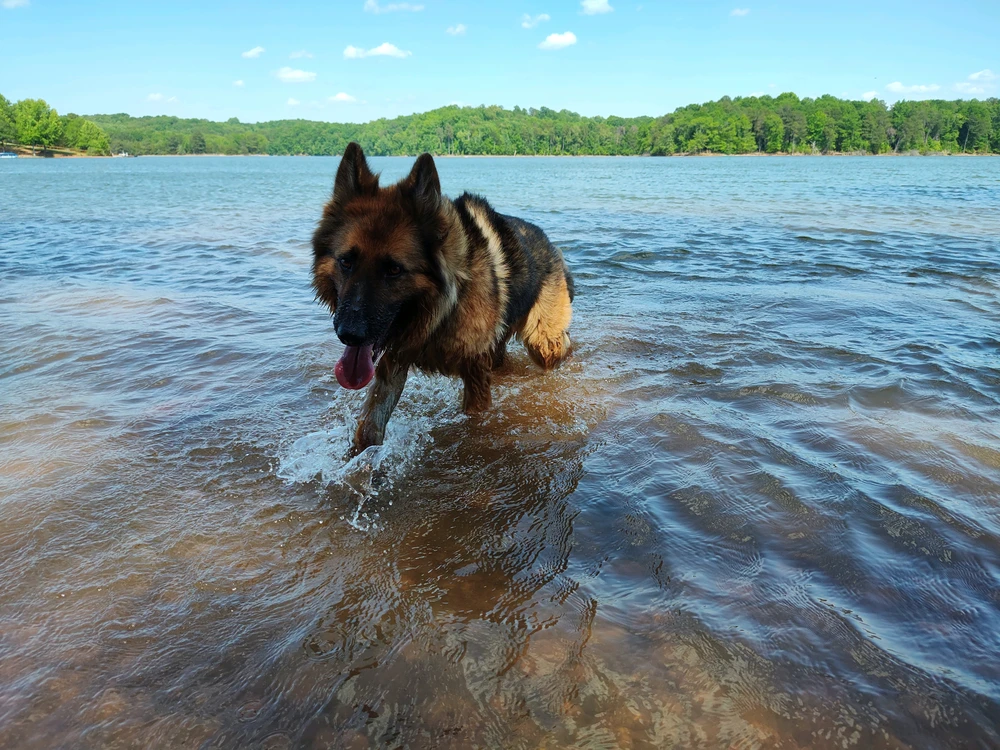 GIF uploaded by Krysta