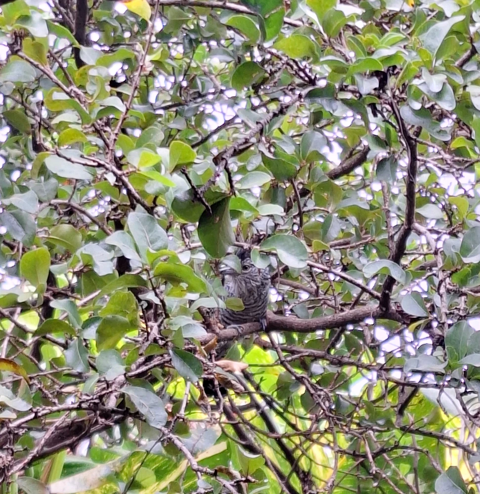 GIF uploaded by tet