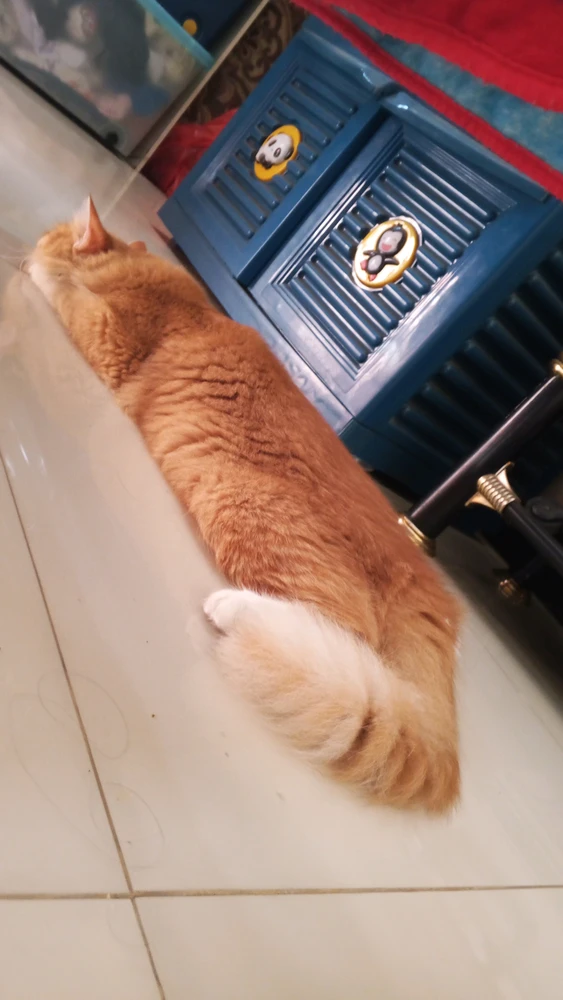 GIF uploaded by Alif