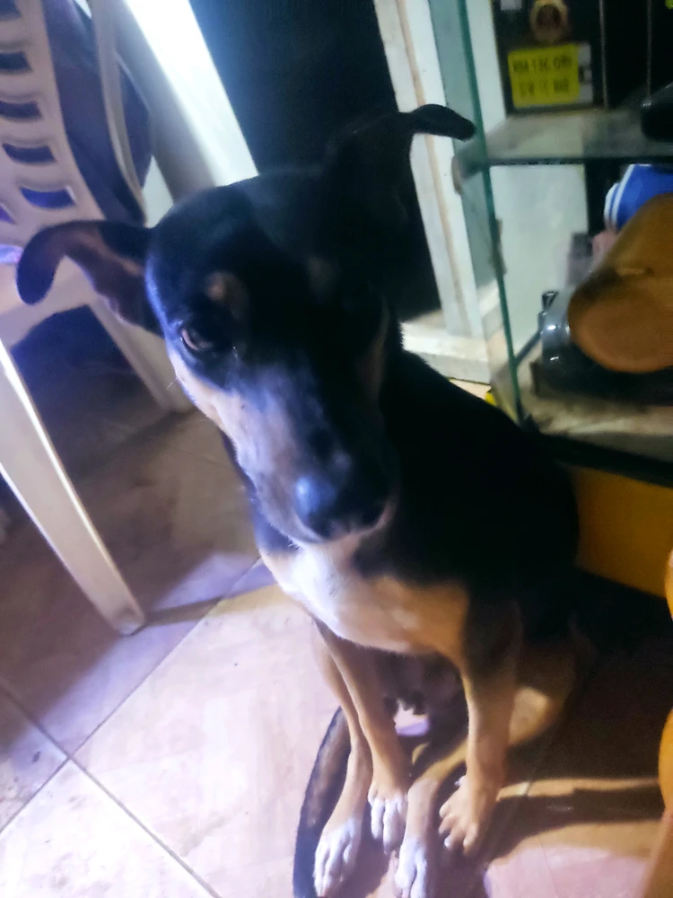 GIF uploaded by Victor Wong
