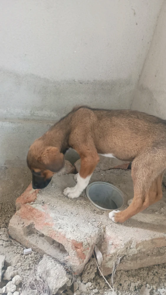GIF uploaded by Vedant
