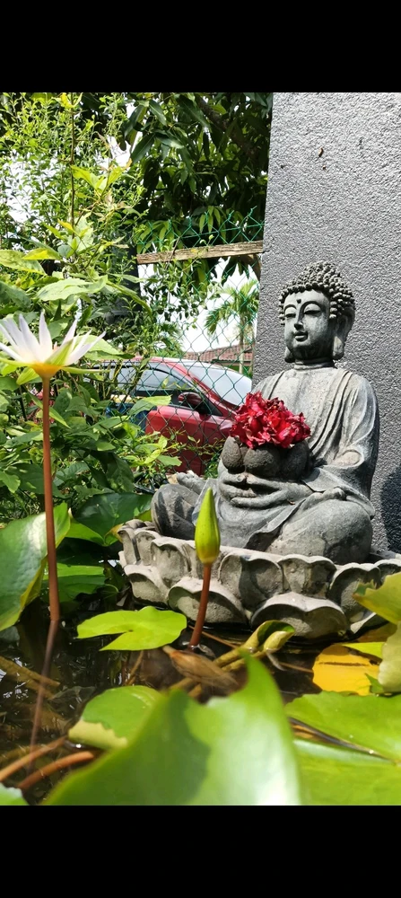 GIF uploaded by Savi
