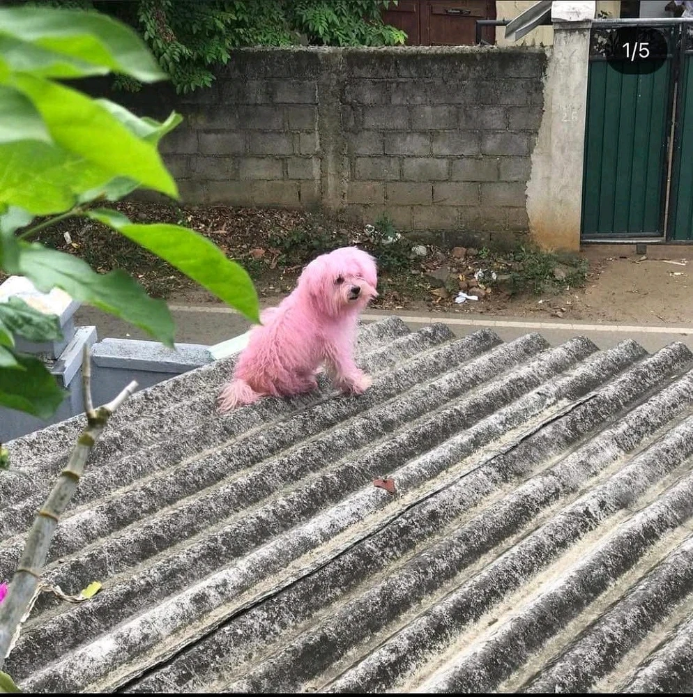 GIF uploaded by S