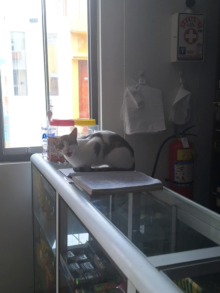 GIF uploaded by Xhio