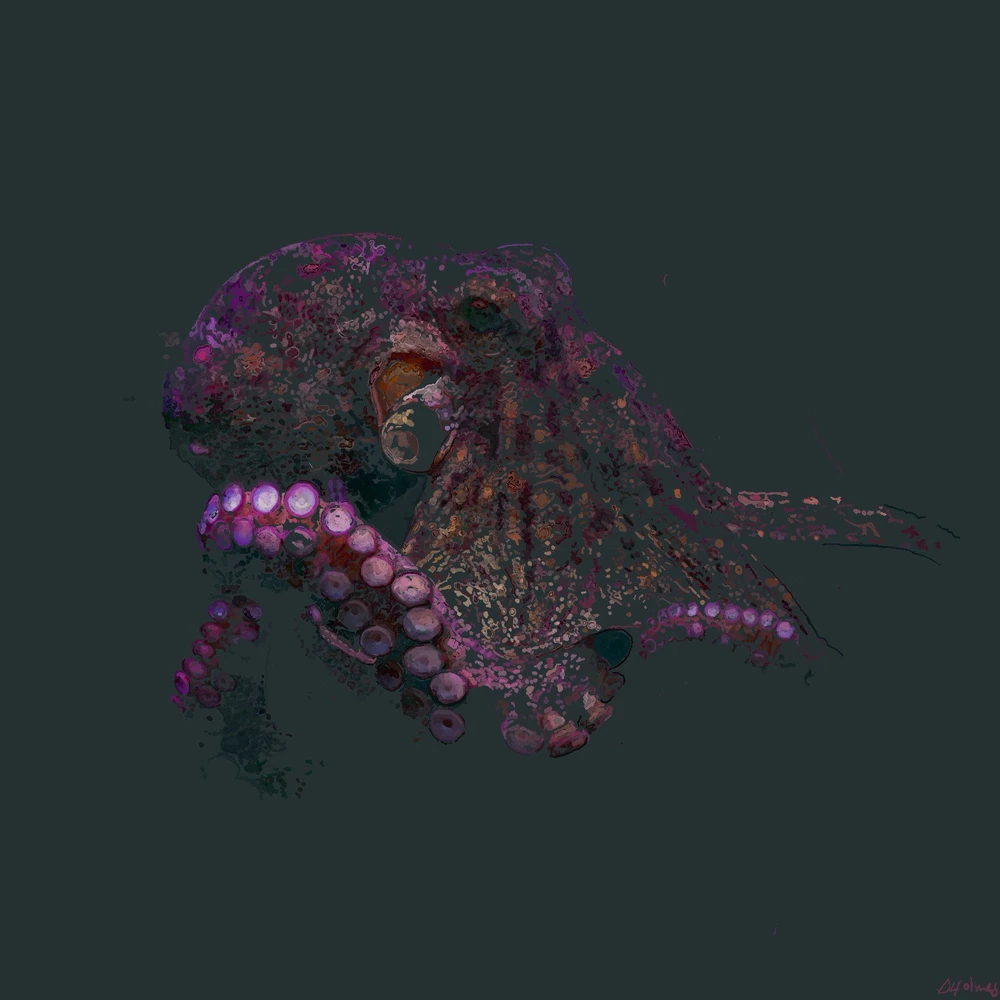 GIF uploaded by Declan