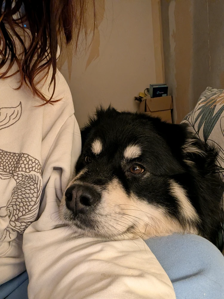 GIF uploaded by Doddy