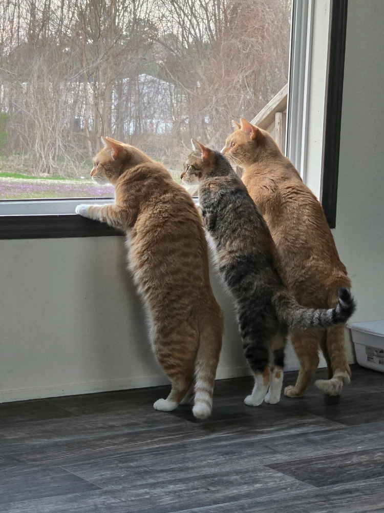 GIF uploaded by Hommy