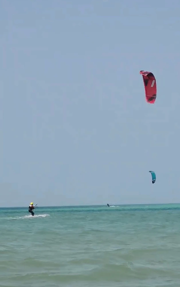 GIF uploaded by Charly