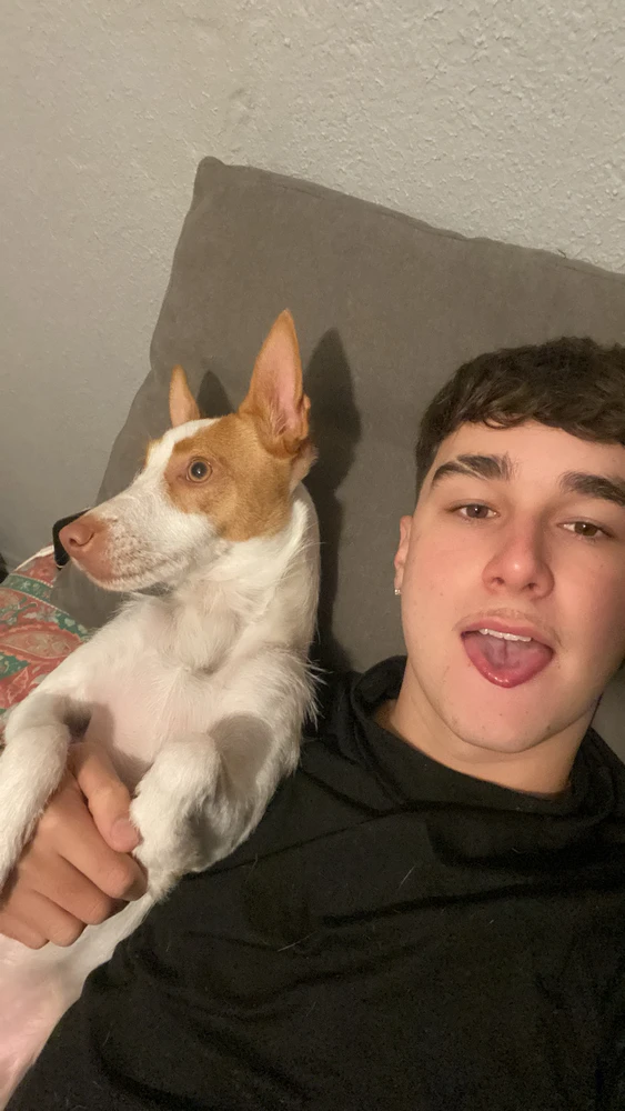 GIF uploaded by Vitor