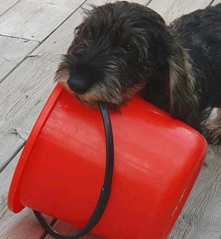 GIF uploaded by Martino